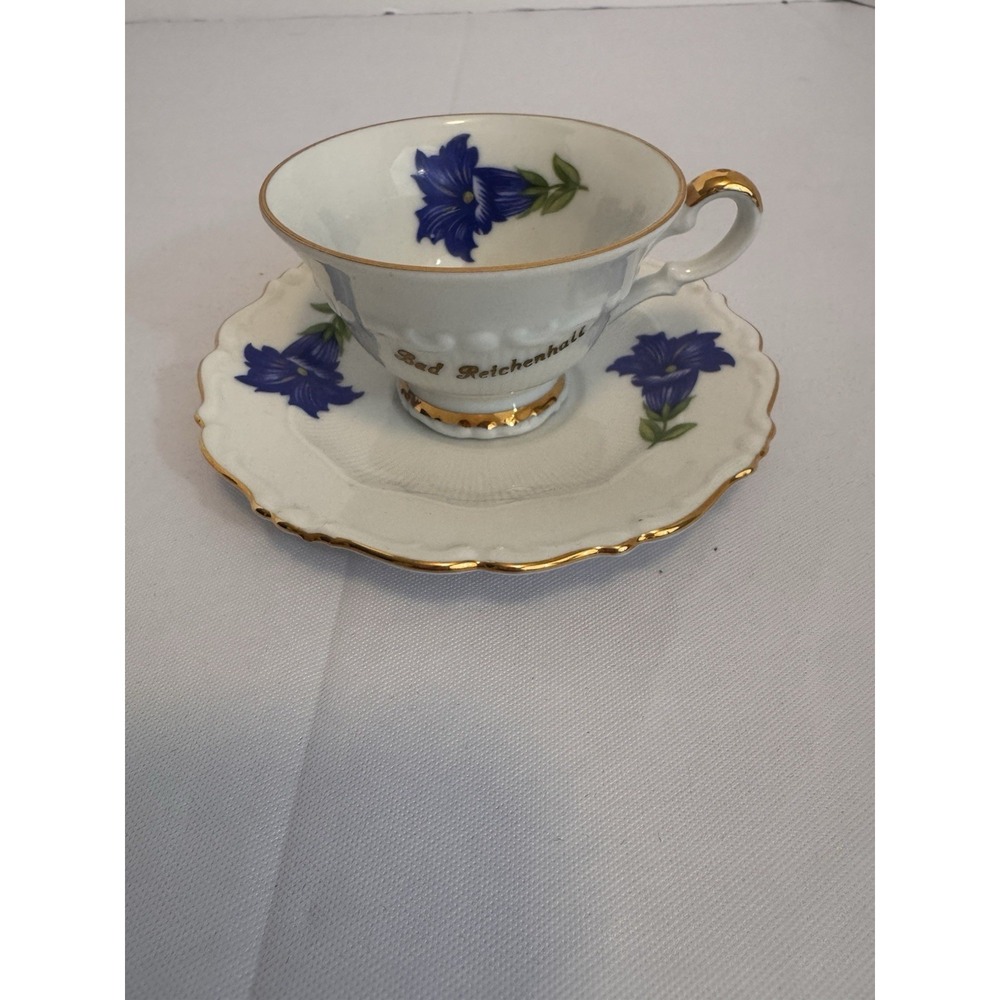 Vintage SCHIRNDING Bavaria Germany Teacup And Saucer Bad Reichenhall Blue Flower